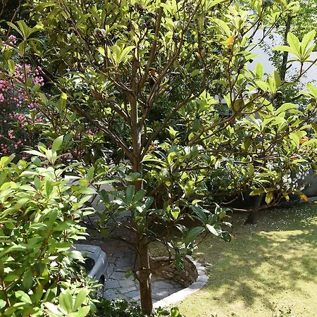 Le Rondinelle דירה *