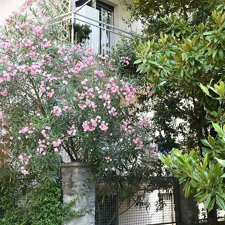 Le Rondinelle *