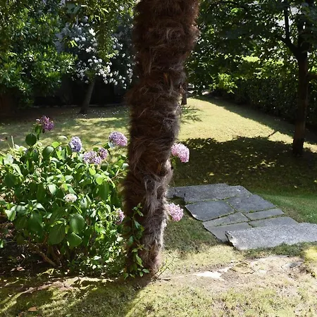 Le Rondinelle Côme